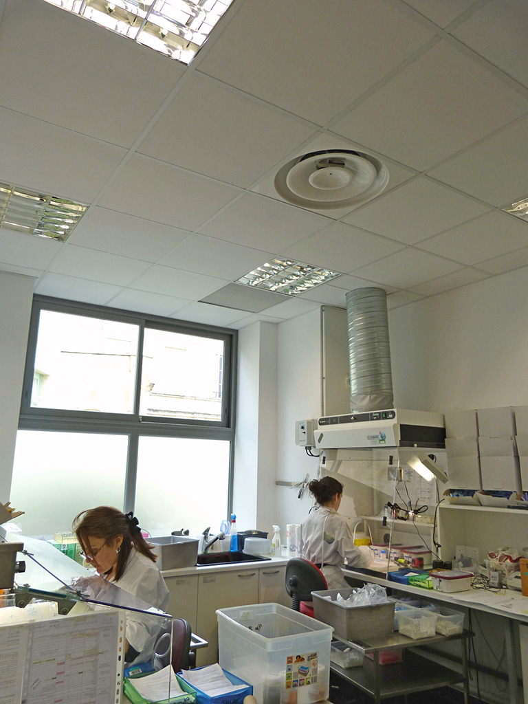 Assainissement de l'air dans les locaux de travail - Les laboratoires - Enceinte ventilée pour réception des pièces et macroscopie sous sorbonne 5