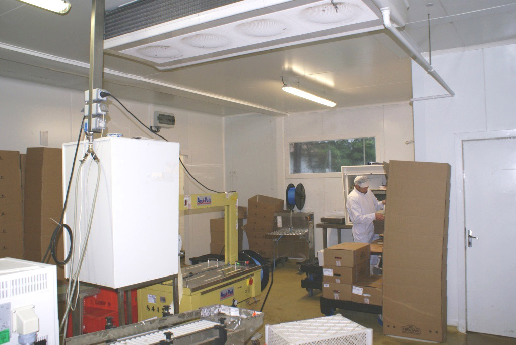 Rénovation et extension d'un site de production agroalimentaire - Éclairage naturel HIRUAK travail ouvrier