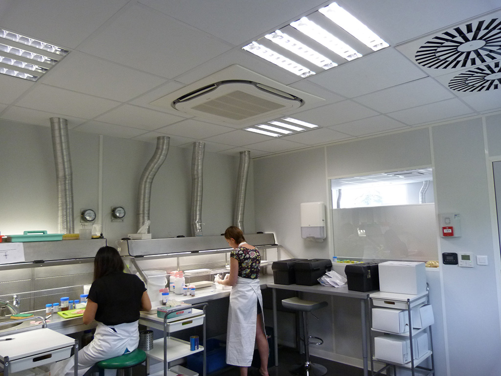Laboratoire d'anatomie et de cytologie pathologiques-Éclairage naturel -Salle de macroscopie MEDIPATH fenêtre croisson intérieur