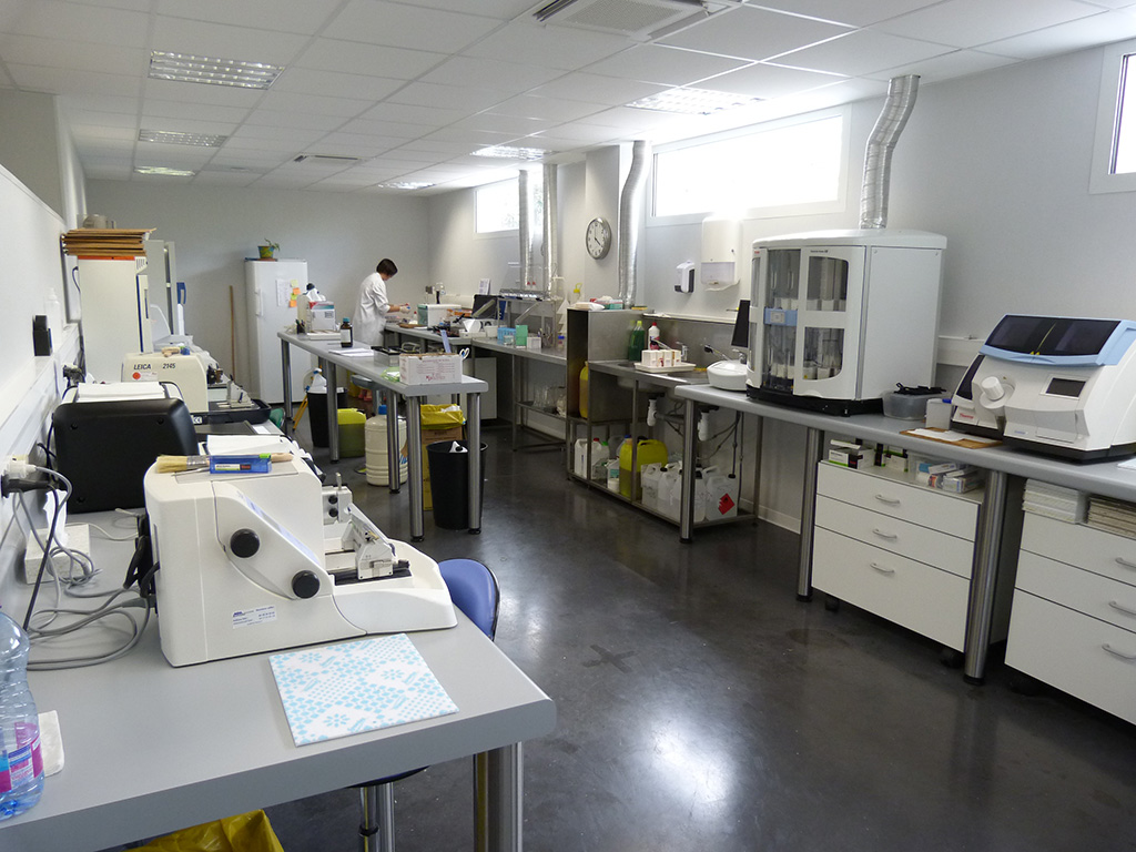 Laboratoire d'anatomie et de cytologie pathologiques -Local laboratoire "machines" MEDIPATH